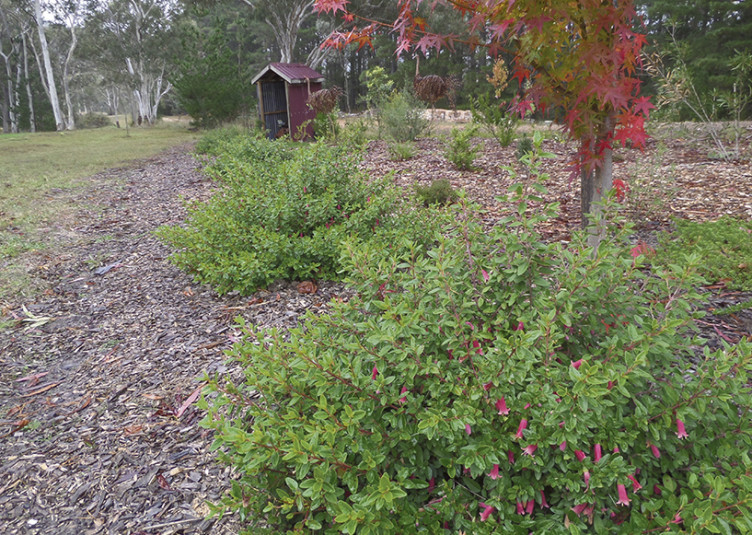 SAMSUNG CAMERA PICTURES