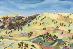 Views-from-the-bridle-track2